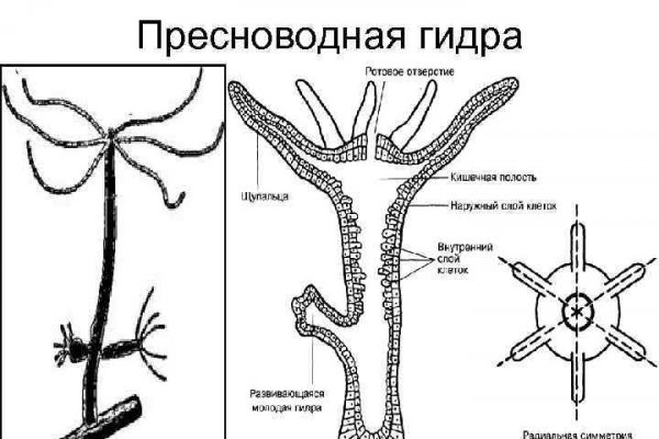 Кракен площадка зеркало