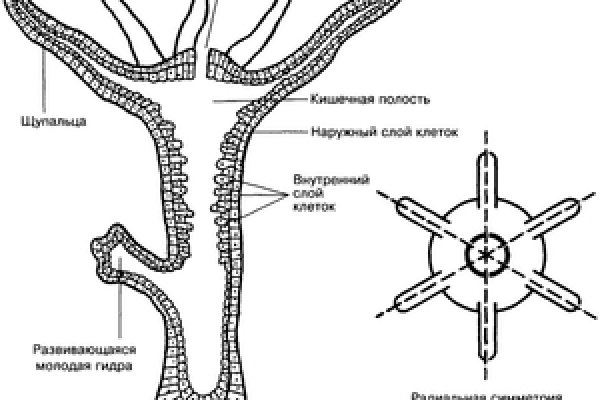 Оригинальная ссылка кракен браузера