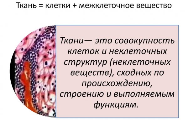 Kra33.cc